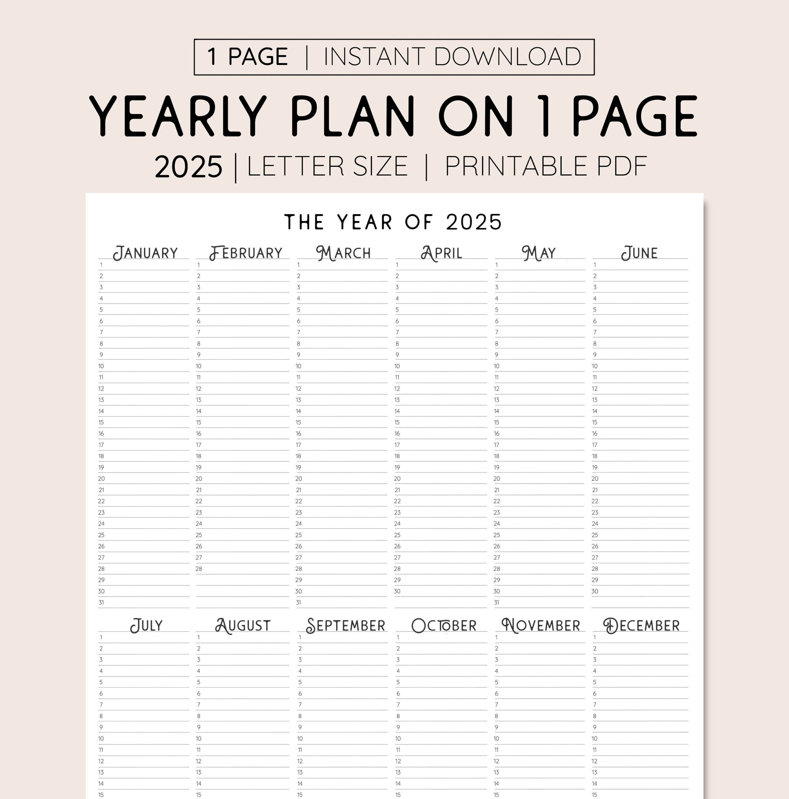 2025 Year At A Glance, Instant Download, Yearly Overview for 2025 Calendar Printable Planner