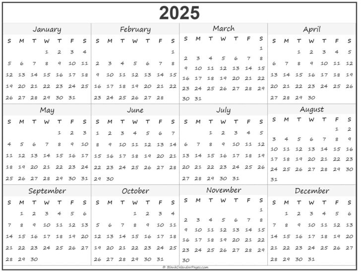 11 X 17 Printable Calendar 2025