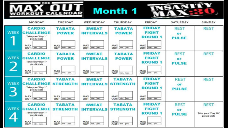 Printable Insanity Workout Calendar 2025