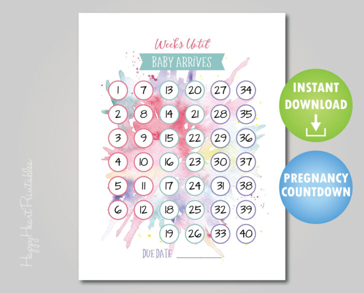 40 Week Pregnancy Calendar Printable